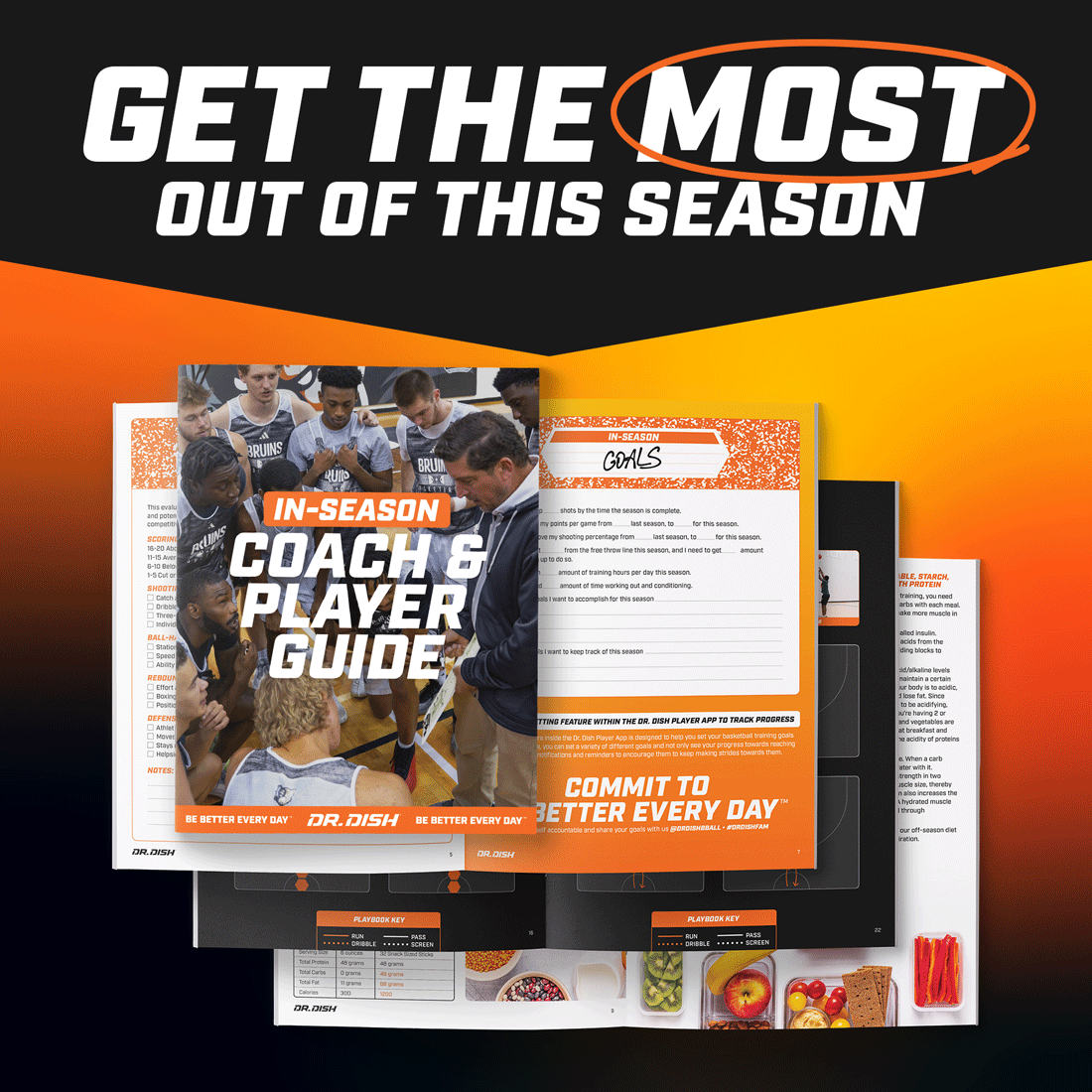free-in-season-coach-and-player-guide-dr-dish-basketball